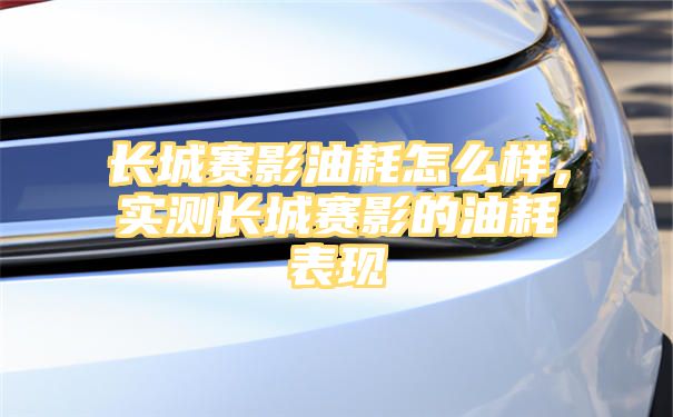 长城赛影油耗怎么样，实测长城赛影的油耗表现