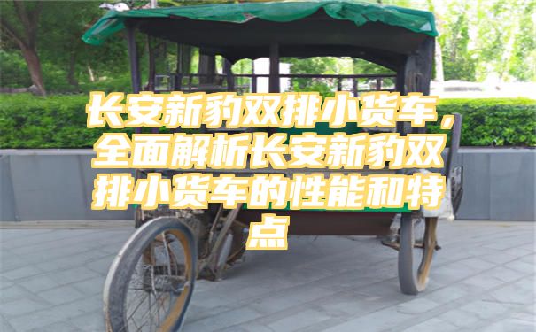 长安新豹双排小货车，全面解析长安新豹双排小货车的性能和特点