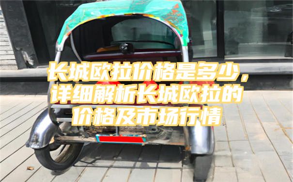 长城欧拉价格是多少，详细解析长城欧拉的价格及市场行情