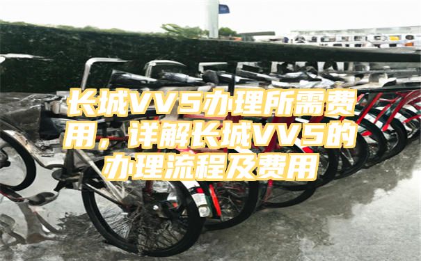 长城VV5办理所需费用，详解长城VV5的办理流程及费用