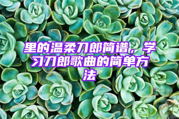 里的温柔刀郎简谱，学习刀郎歌曲的简单方法