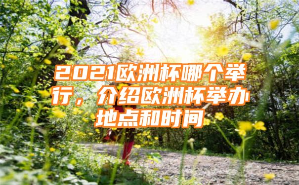 2021欧洲杯哪个举行，介绍欧洲杯举办地点和时间