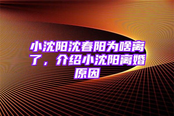 小沈阳沈春阳为啥离了，介绍小沈阳离婚原因