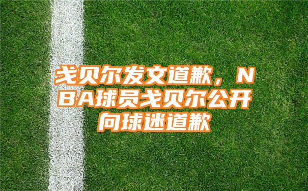 戈贝尔发文道歉，NBA球员戈贝尔公开向球迷道歉