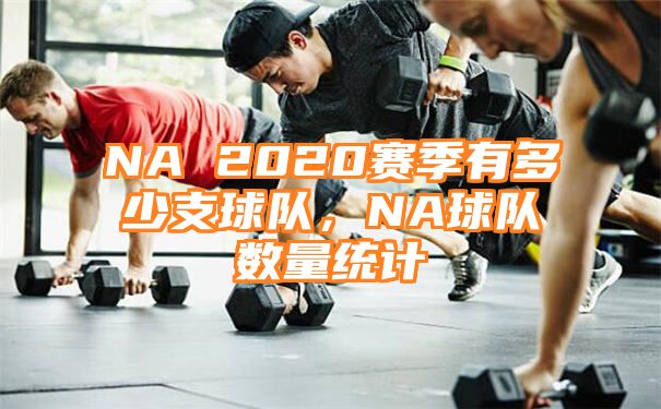 NA 2020赛季有多少支球队，NA球队数量统计