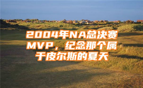 2004年NA总决赛MVP，纪念那个属于皮尔斯的夏天