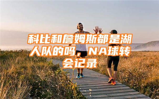 科比和詹姆斯都是湖人队的吗，NA球转会记录