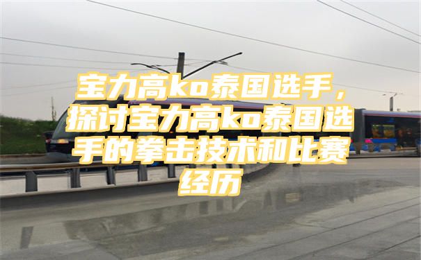 宝力高ko泰国选手，探讨宝力高ko泰国选手的拳击技术和比赛经历