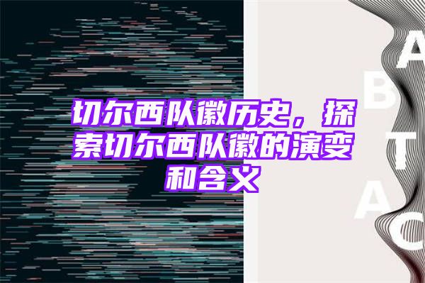 切尔西队徽历史，探索切尔西队徽的演变和含义