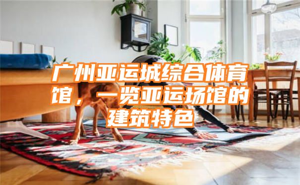 广州亚运城综合体育馆，一览亚运场馆的建筑特色