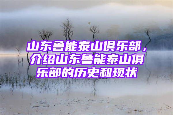 山东鲁能泰山俱乐部，介绍山东鲁能泰山俱乐部的历史和现状