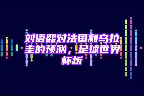 刘语熙对法国和乌拉圭的预测，足球世界杯析