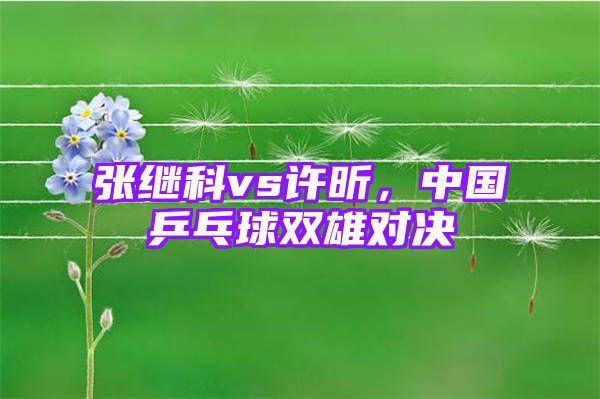 张继科vs许昕，中国乒乓球双雄对决