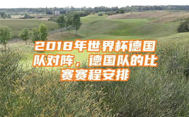 2018年世界杯德国队对阵，德国队的比赛赛程安排