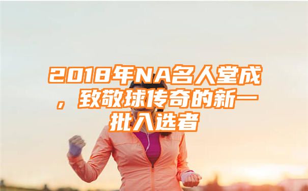 2018年NA名人堂成，致敬球传奇的新一批入选者