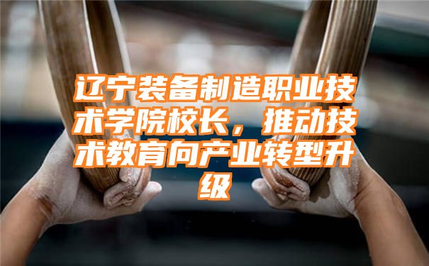 辽宁装备制造职业技术学院校长，推动技术教育向产业转型升级