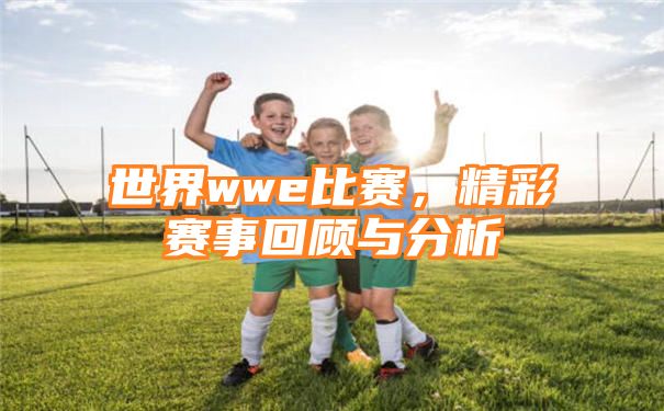 世界wwe比赛，精彩赛事回顾与分析