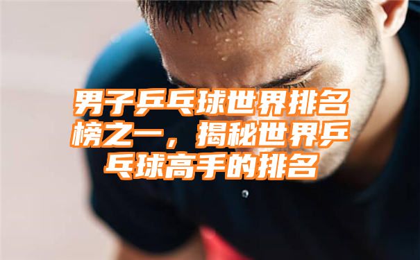 男子乒乓球世界排名榜之一，揭秘世界乒乓球高手的排名