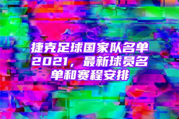 捷克足球国家队名单2021，最新球员名单和赛程安排