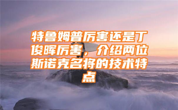 特鲁姆普厉害还是丁俊晖厉害，介绍两位斯诺克名将的技术特点