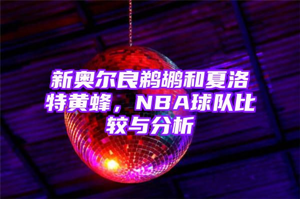 新奥尔良鹈鹕和夏洛特黄蜂，NBA球队比较与分析