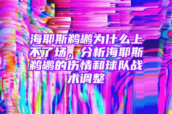 海耶斯鹈鹕为什么上不了场，分析海耶斯鹈鹕的伤情和球队战术调整