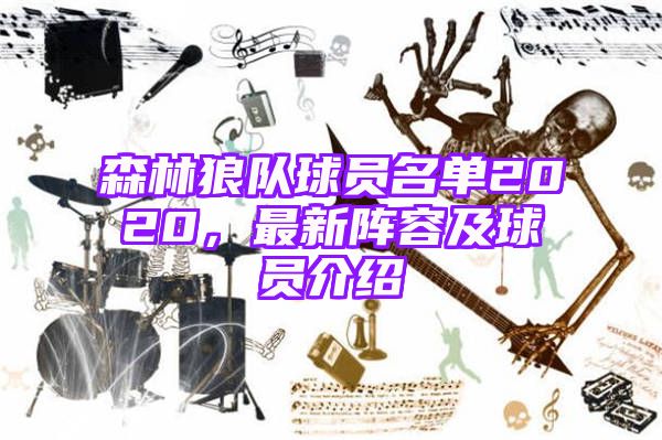 森林狼队球员名单2020，最新阵容及球员介绍