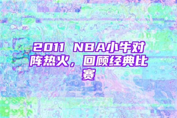 2011 NBA小牛对阵热火，回顾经典比赛