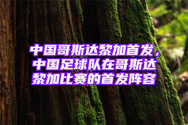 中国哥斯达黎加首发，中国足球队在哥斯达黎加比赛的首发阵容