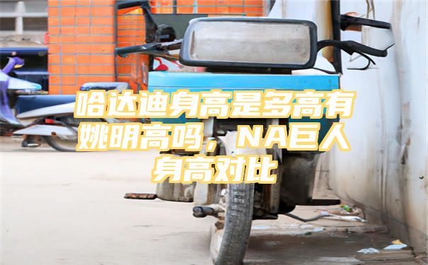 哈达迪身高是多高有姚明高吗，NA巨人身高对比