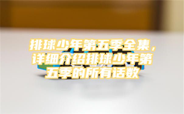 排球少年第五季全集，详细介绍排球少年第五季的所有话数