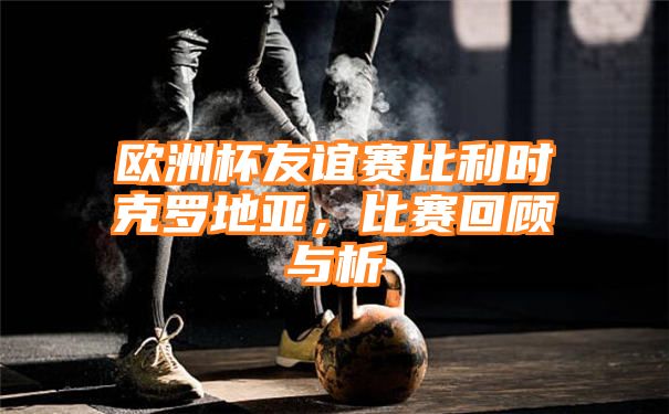 欧洲杯友谊赛比利时克罗地亚，比赛回顾与析