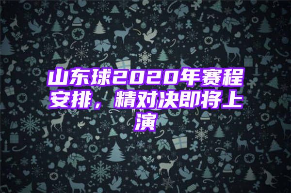 山东球2020年赛程安排，精对决即将上演