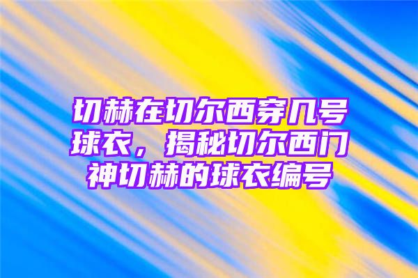 切赫在切尔西穿几号球衣，揭秘切尔西门神切赫的球衣编号