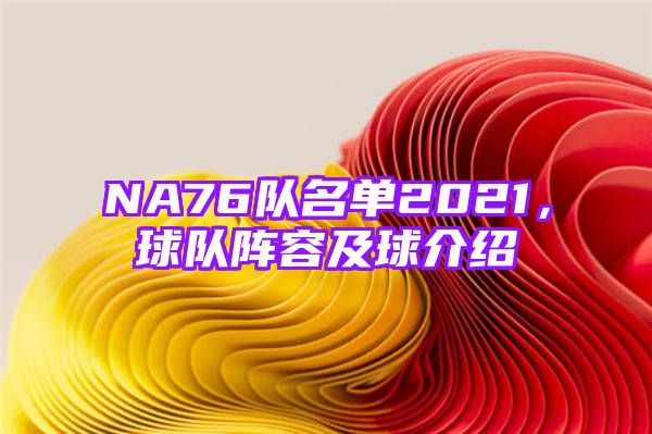 NA76队名单2021，球队阵容及球介绍