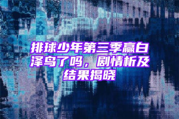 排球少年第三季赢白泽鸟了吗，剧情析及结果揭晓