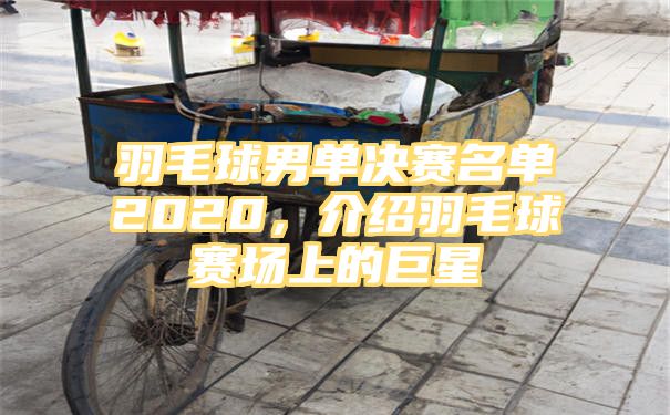 羽毛球男单决赛名单2020，介绍羽毛球赛场上的巨星