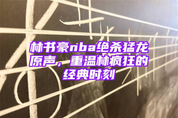 林书豪nba绝杀猛龙原声，重温林疯狂的经典时刻