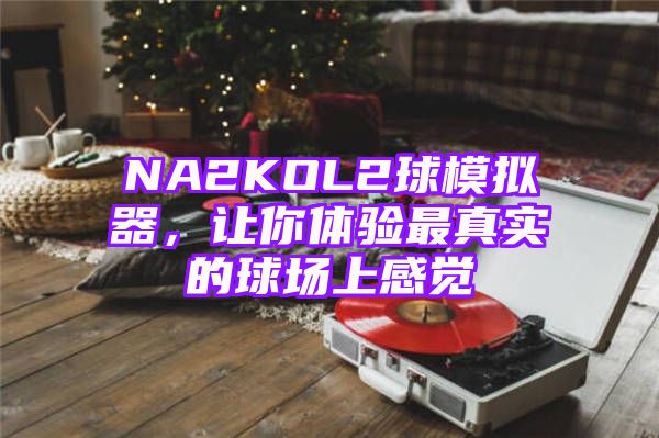 NA2KOL2球模拟器，让你体验最真实的球场上感觉