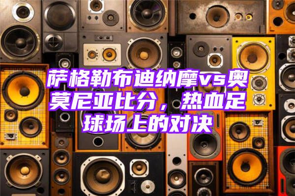 萨格勒布迪纳摩vs奥莫尼亚比分，热血足球场上的对决