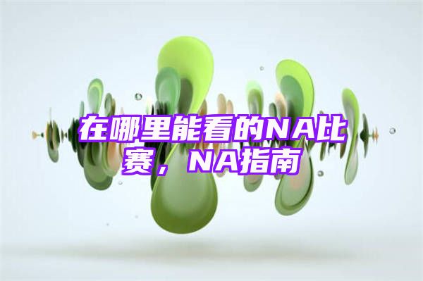 在哪里能看的NA比赛，NA指南