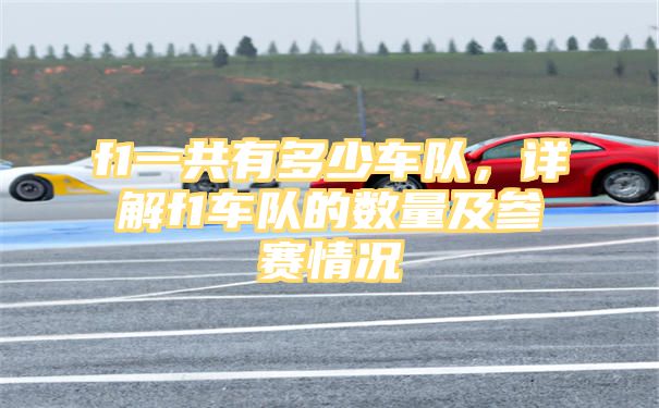 f1一共有多少车队，详解f1车队的数量及参赛情况