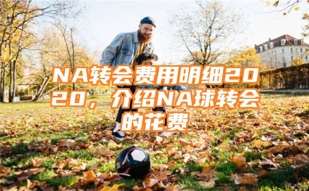 NA转会费用明细2020，介绍NA球转会的花费