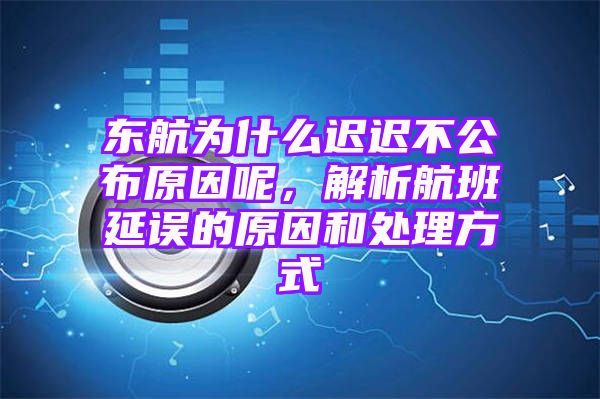 东航为什么迟迟不公布原因呢，解析航班延误的原因和处理方式