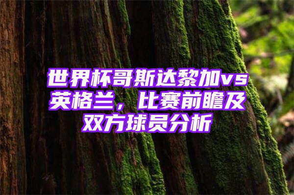 世界杯哥斯达黎加vs英格兰，比赛前瞻及双方球员分析