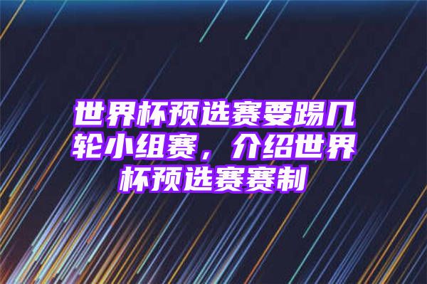 世界杯预选赛要踢几轮小组赛，介绍世界杯预选赛赛制