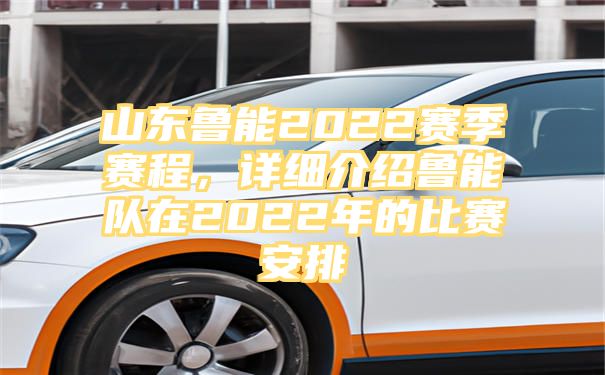 山东鲁能2022赛季赛程，详细介绍鲁能队在2022年的比赛安排