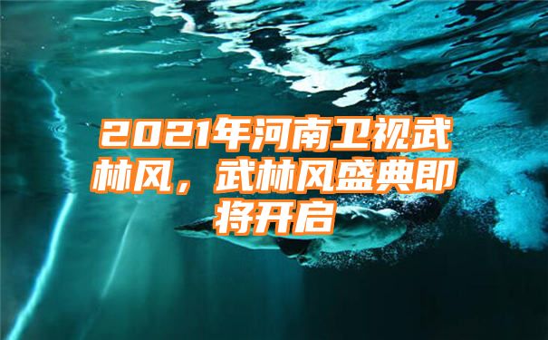 2021年河南卫视武林风，武林风盛典即将开启