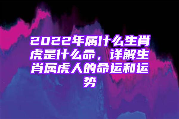 2022年属什么生肖虎是什么命，详解生肖属虎人的命运和运势