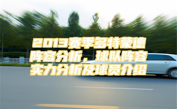 2013赛季多特蒙德阵容分析，球队阵容实力分析及球员介绍